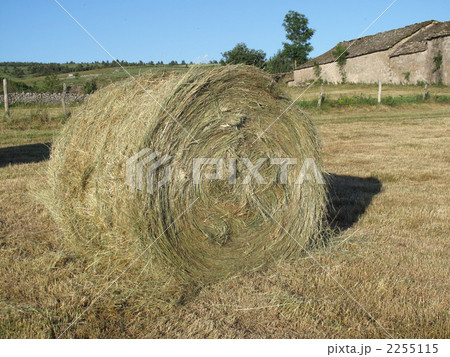 南仏の積みわら 南仏の積みわら 2255115