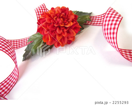 キンセンカとチェックのリボン1 キンセンカとチェックのリボン1 2255293