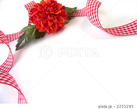 キンセンカとチェックのリボン2 キンセンカとチェックのリボン2 2255295
