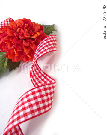 キンセンカとチェックのリボン５ 2255298