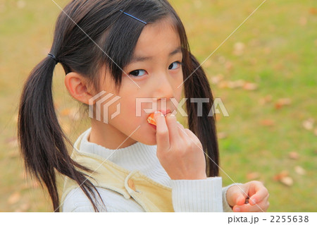 公園で遊ぶ小２の女の子 2255638