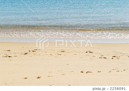 波打ち際2 波打ち際2 2256091