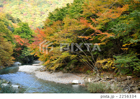 秋の湯西川 秋の湯西川 2256334