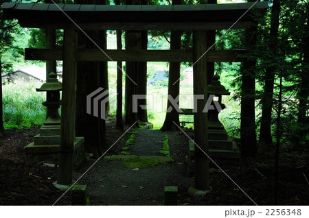 村の社 村の社 2256348