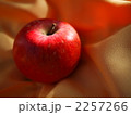 真っ赤なりんご 2257266