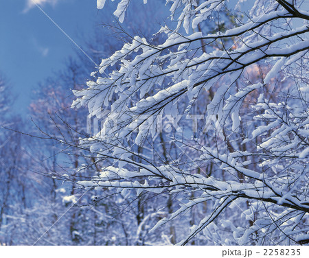 涌蓋山の雪景色 2258235