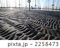 砂紋 2258473