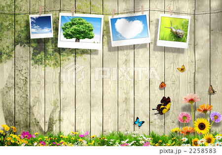 はる_jj_961782 2258583