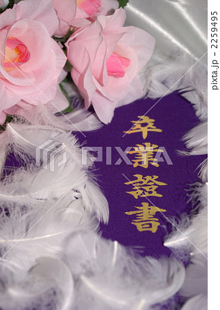 卒業証書と桃色のバラ（造花）と白い羽根 2259495
