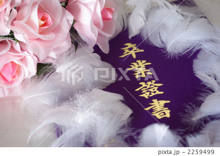 卒業証書と桃色のバラ（造花）と白い羽根 2259499