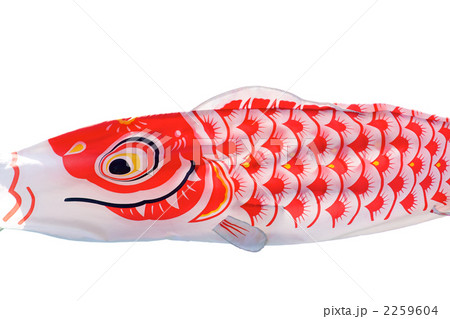 鯉のぼり 2259604