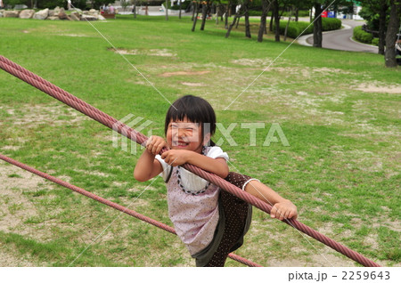 ザイルクライミングで遊ぶ女の子（夏） 2259643