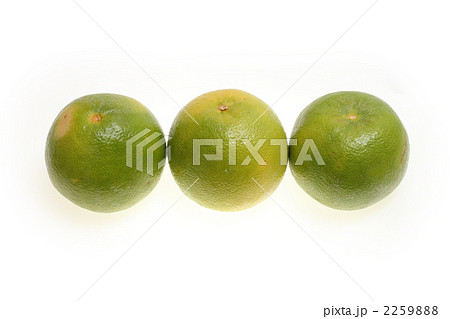 スウィーティー 2259888