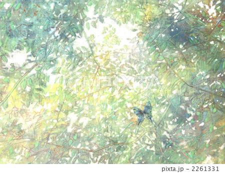 空へ羽ばたく蝶 （日本画）のイラスト素材 [2261331] - PIXTA