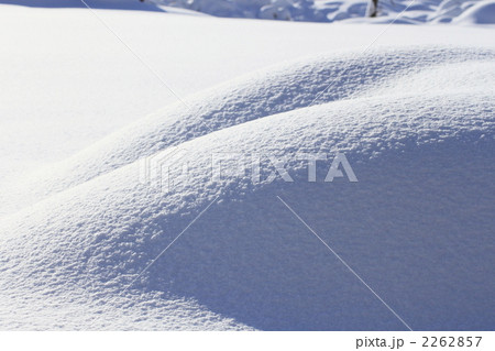 雪原の光と影 2262857