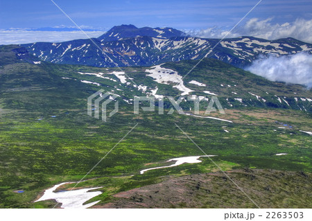 白雲岳山頂から見るトムラウシ山 01 2263503
