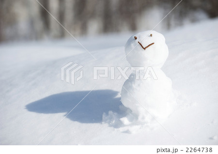 雪だるま 2264738