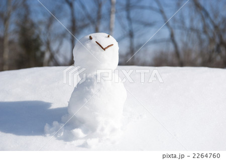 雪だるま 2264760