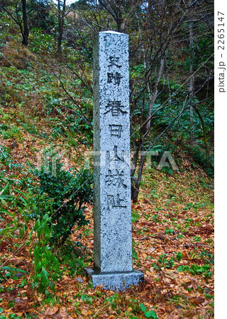 「史蹟 春日山城阯」の石碑（新潟県上越市中屋敷･大豆） 2265147