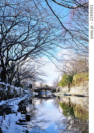 八幡掘の雪化粧 2269002