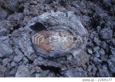 溶岩の造形美 溶岩の造形美 2269177