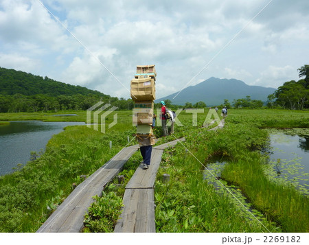 尾瀬国立公園　尾瀬ヶ原 2269182