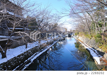 八幡掘の雪化粧 2269202