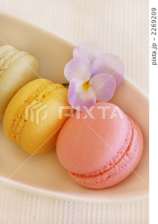 カラフルマカロンとビオラ 2269209