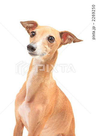 2269250