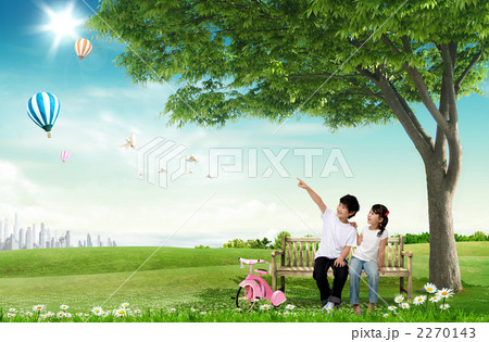 木ドングクル_k_830935 木ドングクル_k_830935 2270143