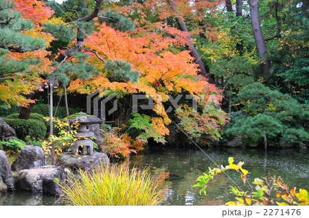 白山公園の紅葉 白山公園の紅葉 2271476