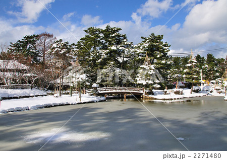 白山公園雪景色  白山公園雪景色  2271480