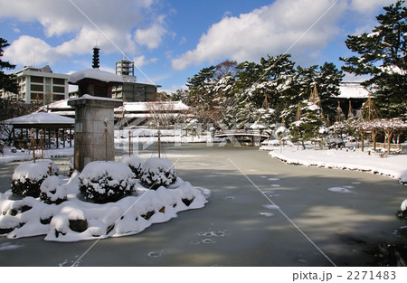 白山公園雪景色  2271483
