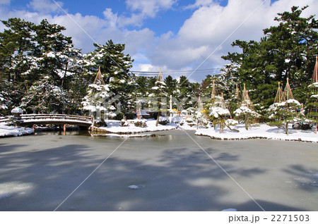 白山公園雪景色 白山公園雪景色 2271503
