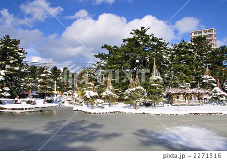白山公園雪景色 白山公園雪景色 2271516