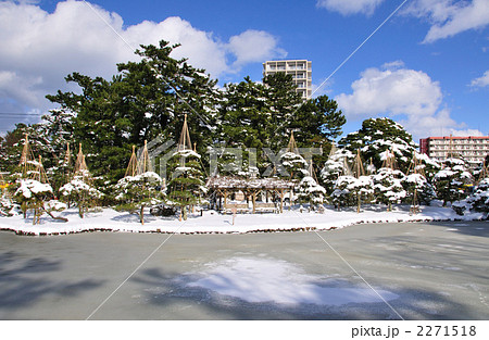 白山公園雪景色  白山公園雪景色  2271518