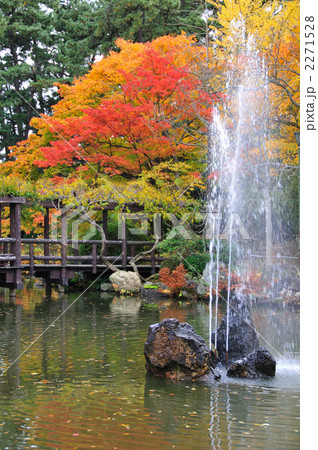 白山公園の紅葉 白山公園の紅葉 2271528