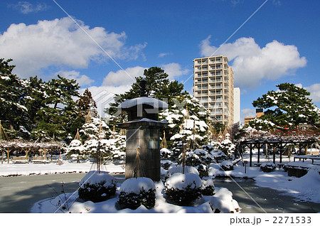白山公園雪景色  2271533