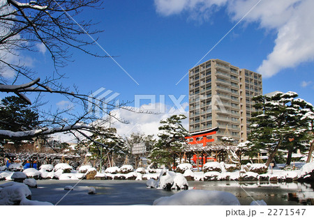 白山公園雪景色  白山公園雪景色  2271547