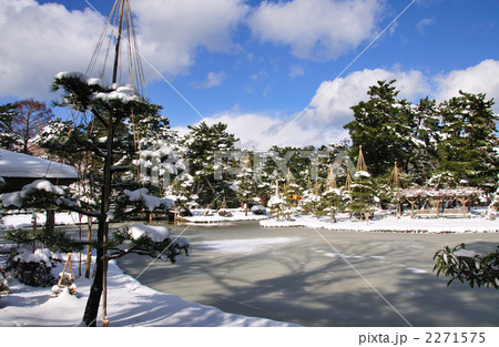 白山公園雪景色 白山公園雪景色 2271575