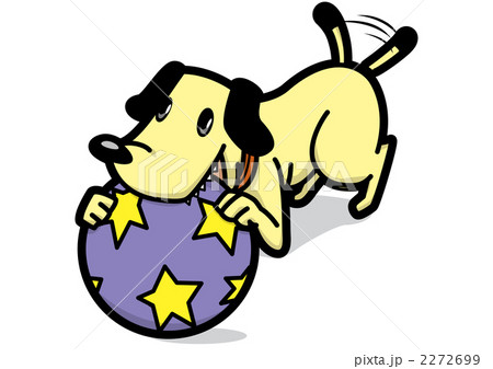 犬の生活010_110121 2272699