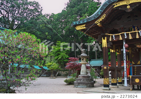 常宮神社 2 常宮神社 2 2273024