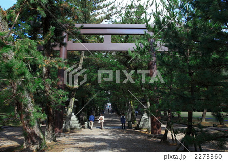 出雲大社参道　松の馬場 2273360