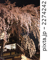 産寧坂の枝垂れ桜 2274242