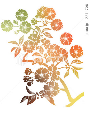 文様 花 桜のイラスト素材 2274708 Pixta