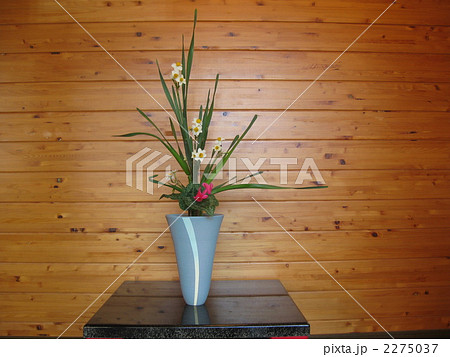 春を待つスイセンの生け花 春を待つスイセンの生け花 2275037