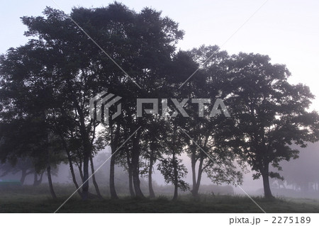 カヤノ平高原 カヤノ平高原 2275189