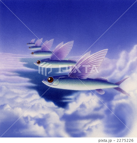 Flying Fishes 2275226