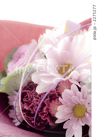 flowers 2275277