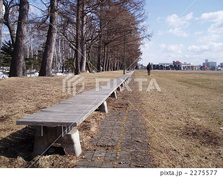 緑ヶ丘公園の400mベンチ 緑ヶ丘公園の400mベンチ 2275577